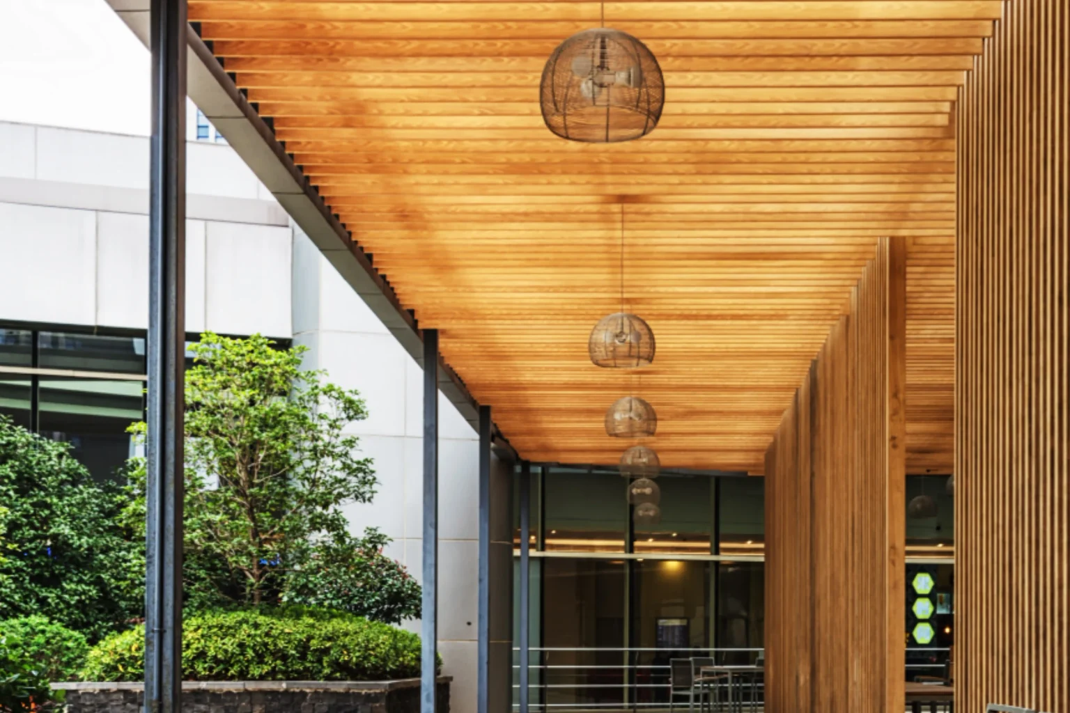 bees-and-honeycomb-in-open-wooden-beehive-2026-01-06-09-14-08-utc (3)
